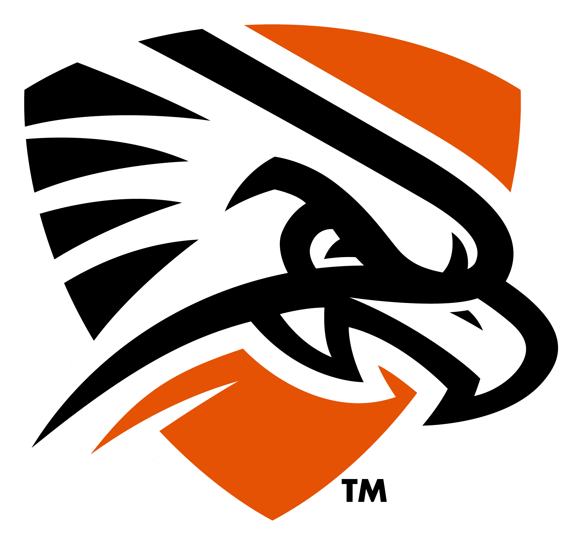 The University of Texas Permian Basin